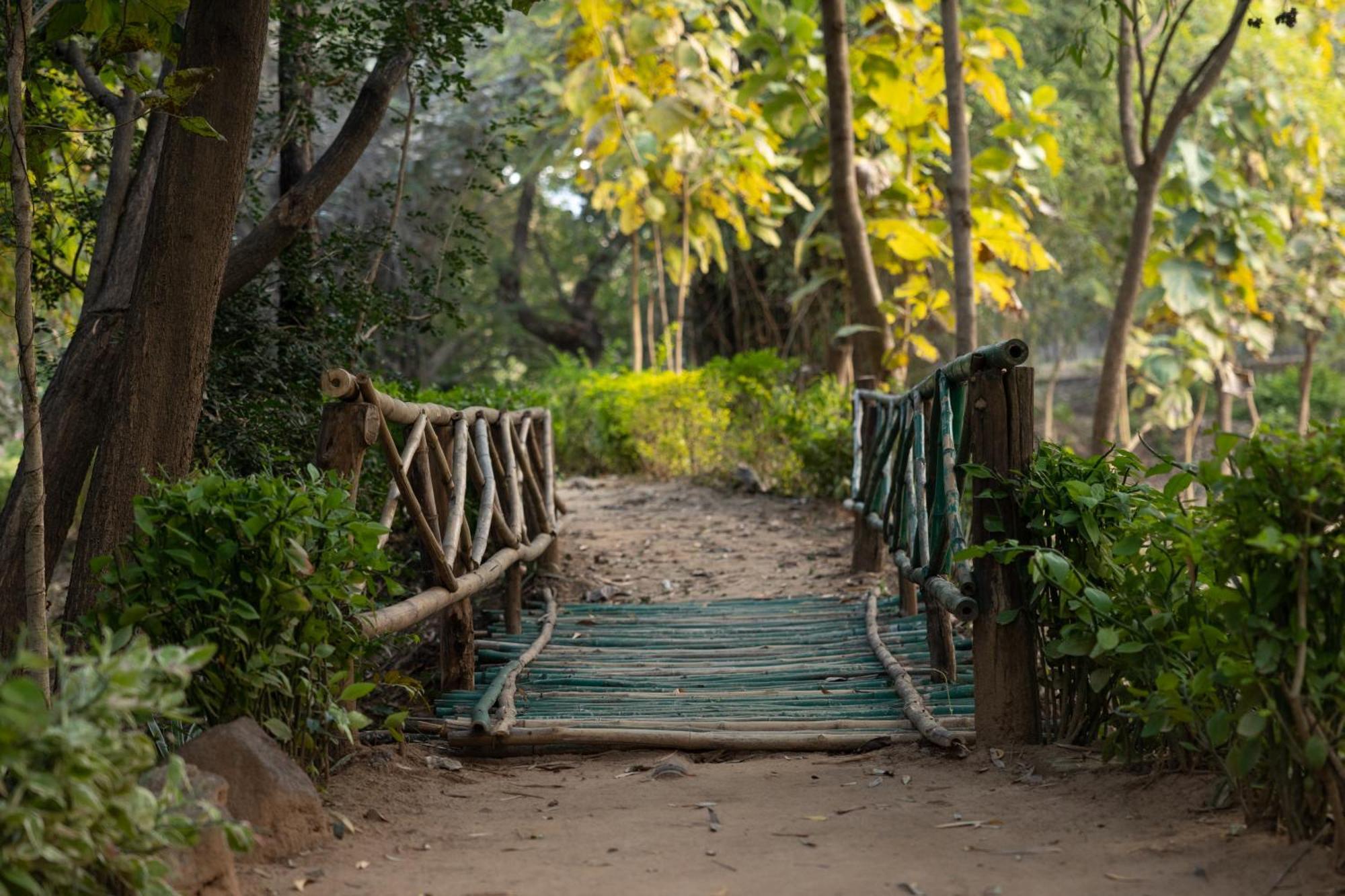 Tiger Trails Resort Tala  Exterior photo