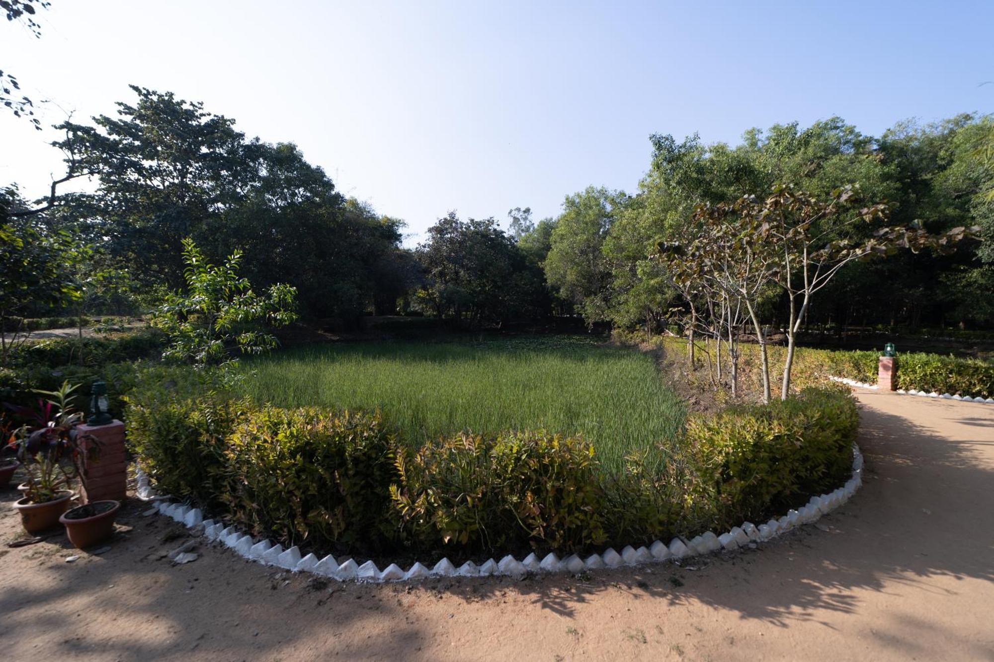 Tiger Trails Resort Tala  Exterior photo